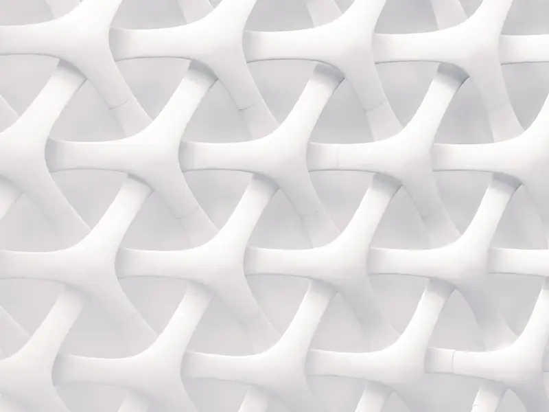 white and gray optical illusion