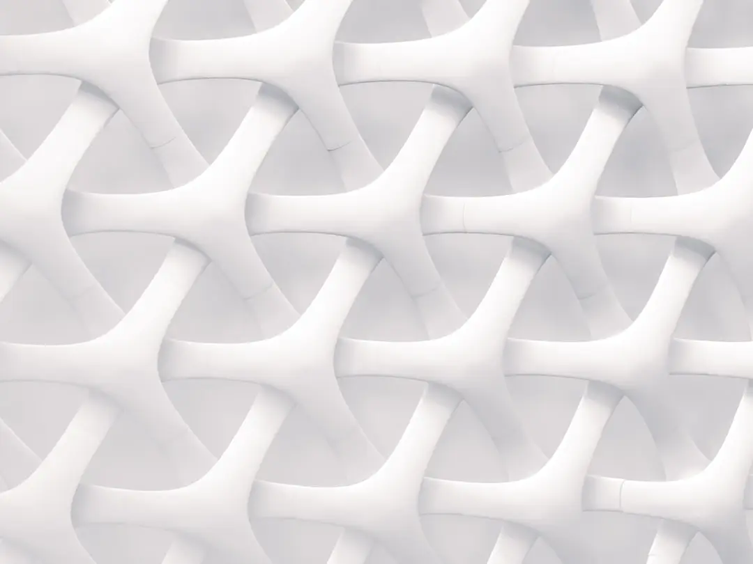 white and gray optical illusion